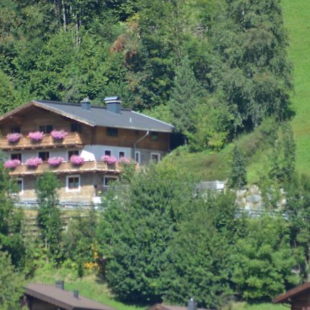 Ferienhaus Rieder Wald im Pinzgau Zewnętrze zdjęcie