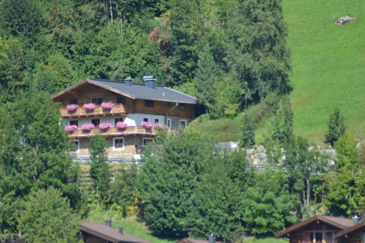 Ferienhaus Rieder Wald im Pinzgau Zewnętrze zdjęcie